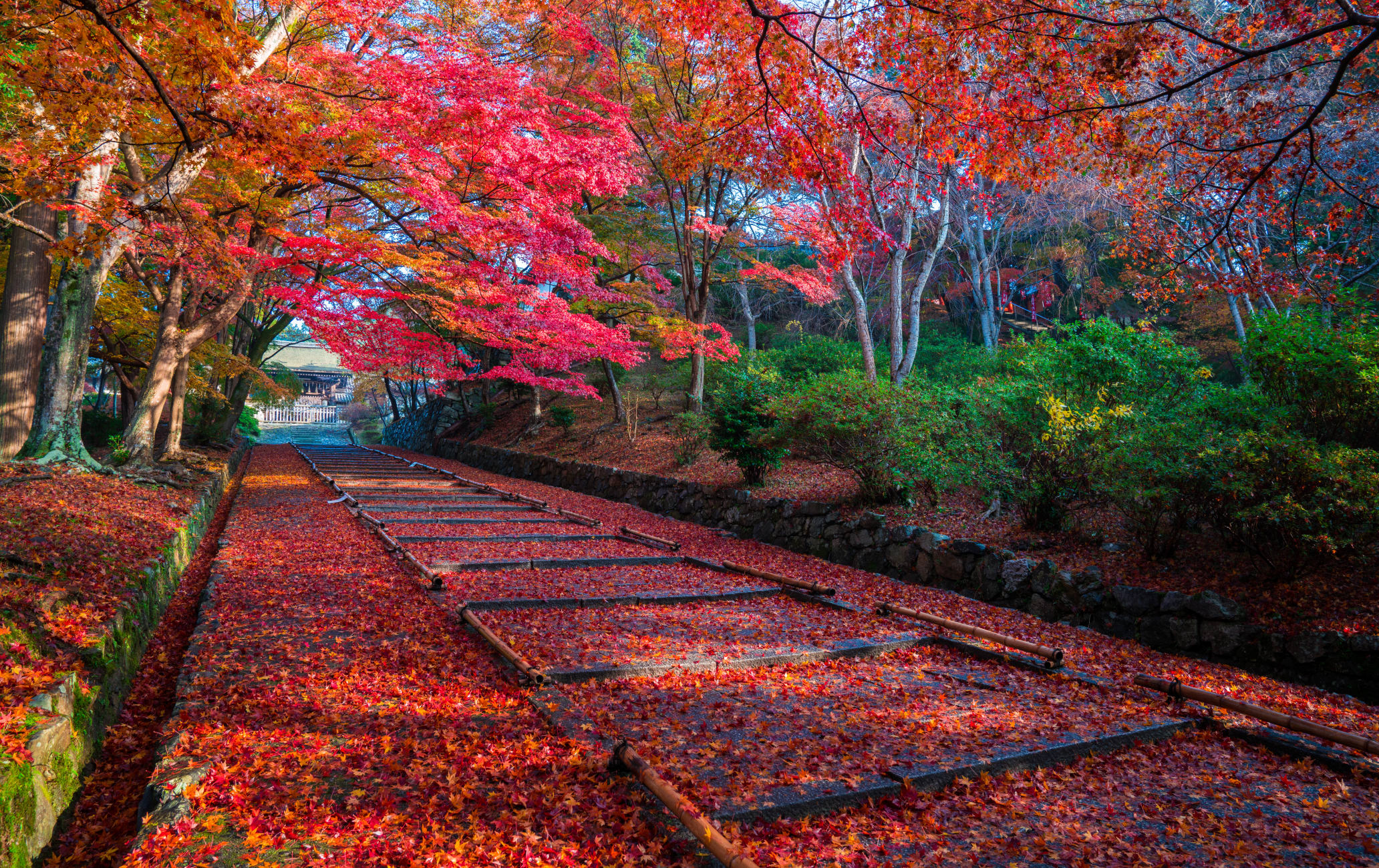 ohara & around