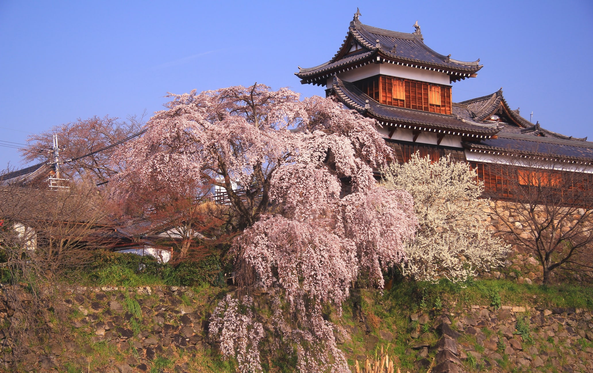 koriyama castle