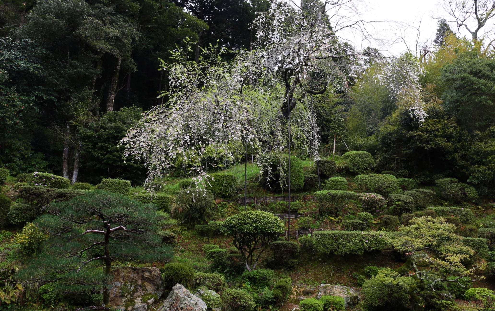 Iko-ji Teien Garden