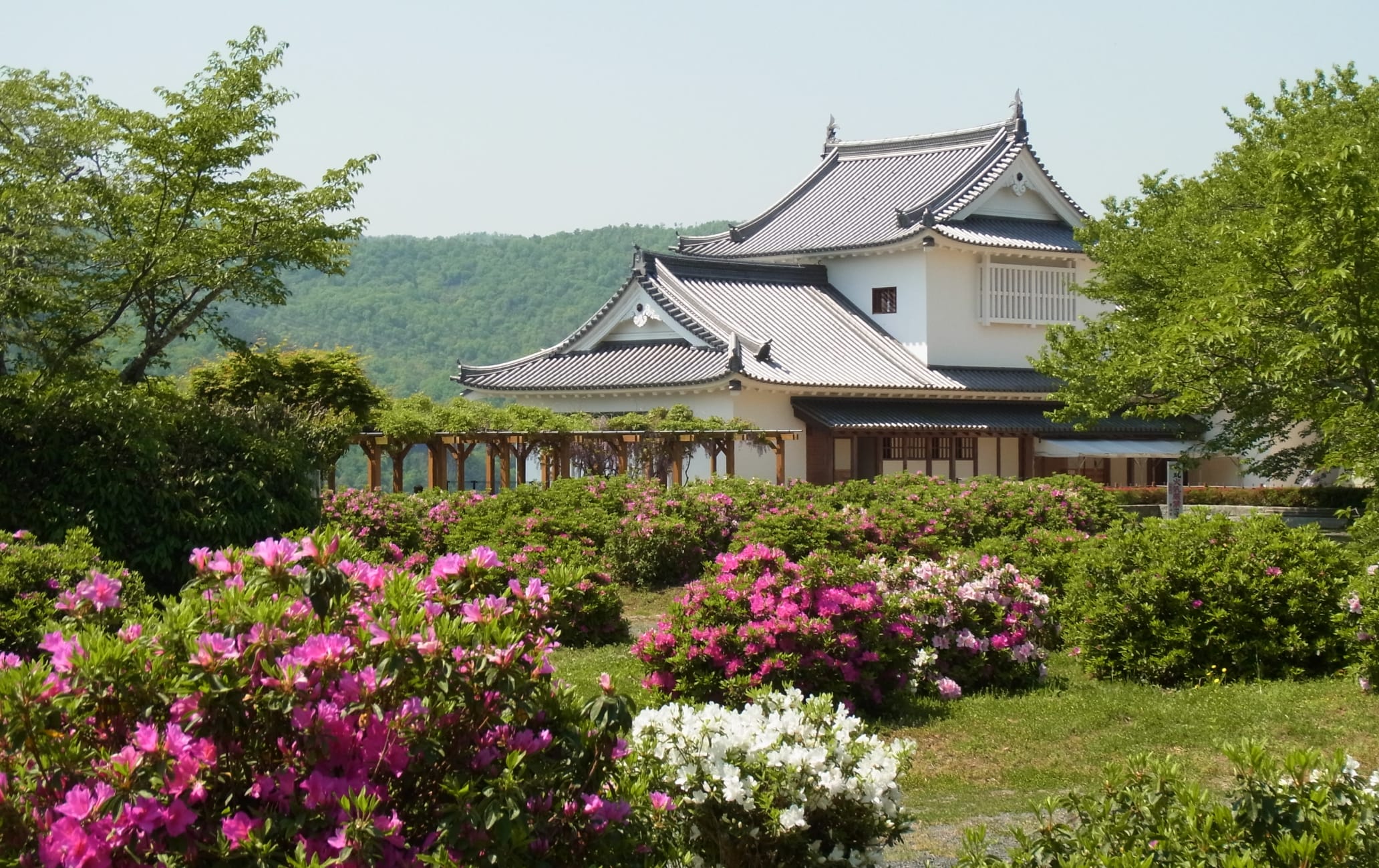 Tsuyama Castle -Kakuzan Park