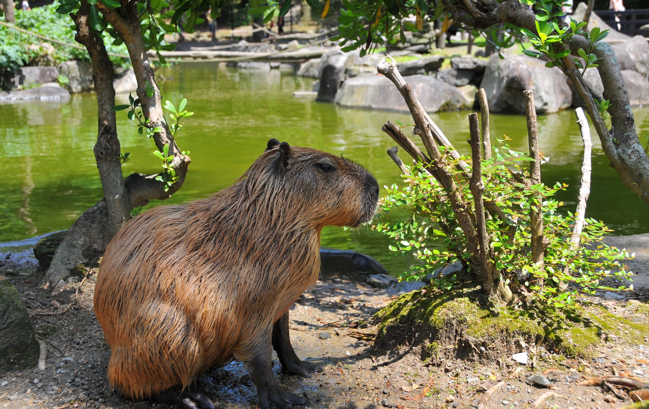 Nagasaki Bio Park