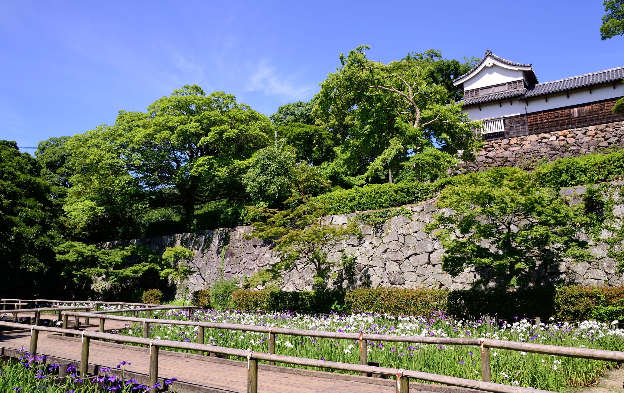 Fukuoka Castle-Maizuru Park