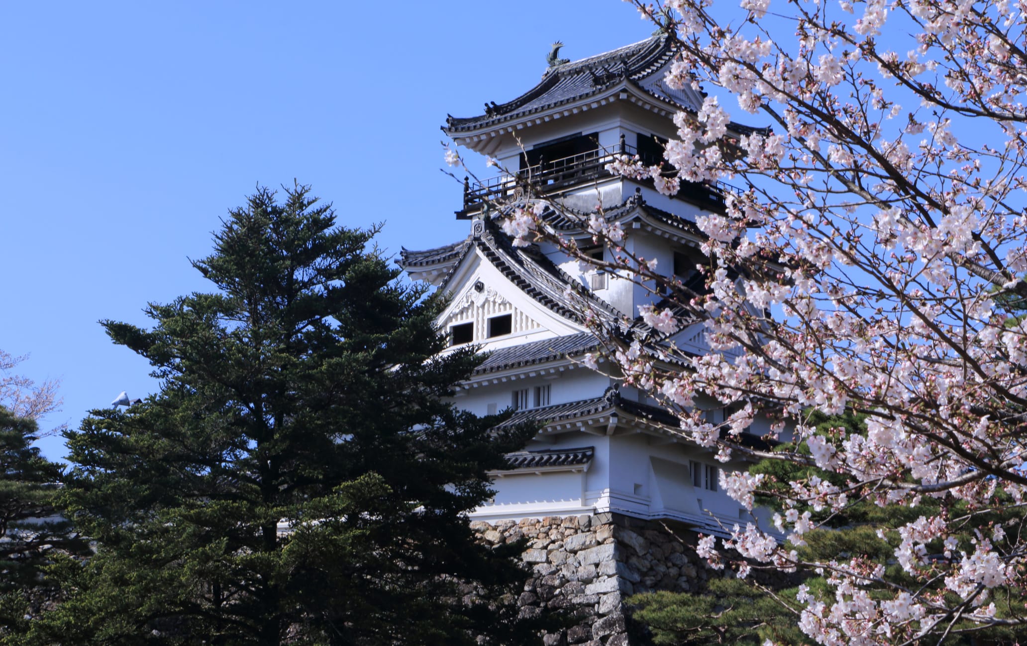 kochi castle