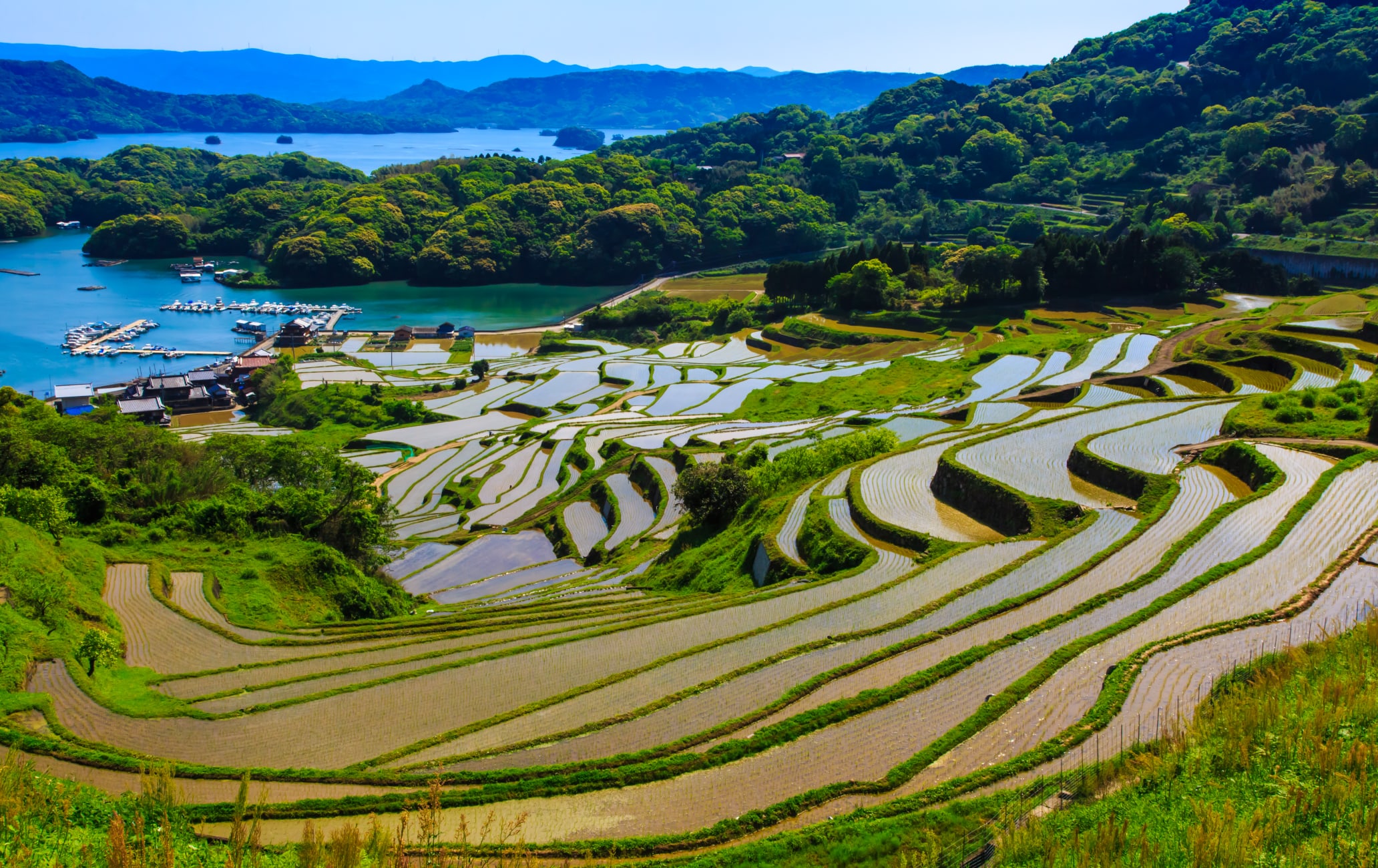 Terraced Rice Fields at Oura