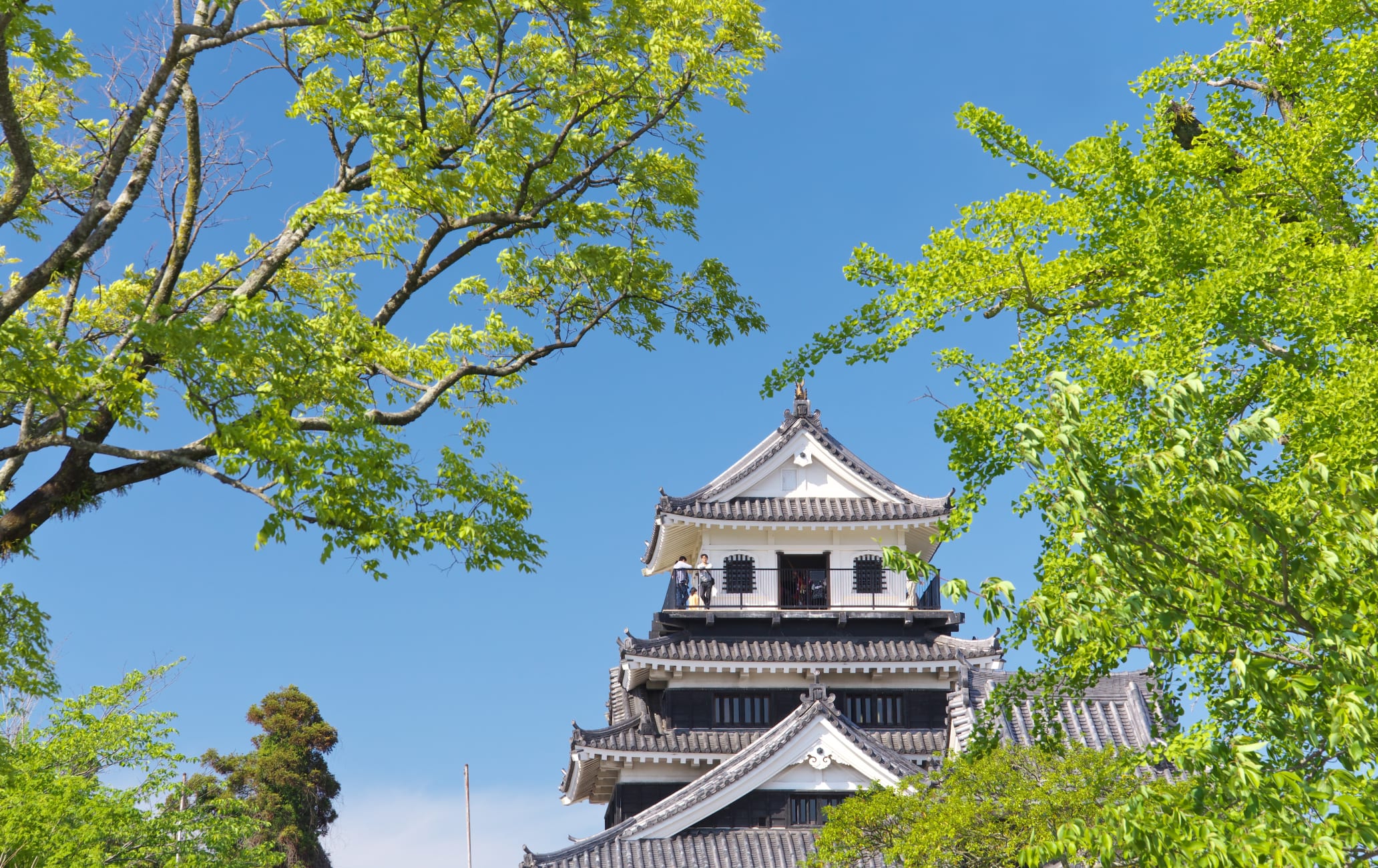 Nakatsu Castle