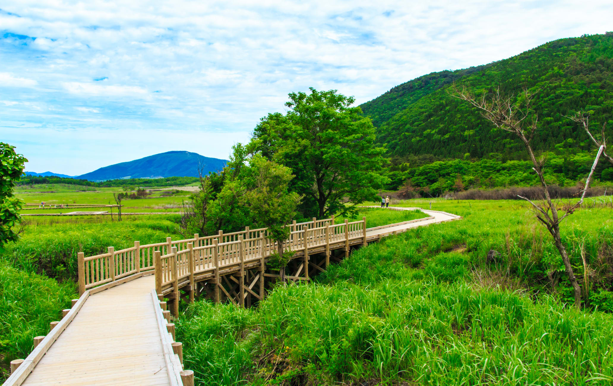 Tadewara Marshland and Bougatsuru Wetland and Chojabaru Visitor Center