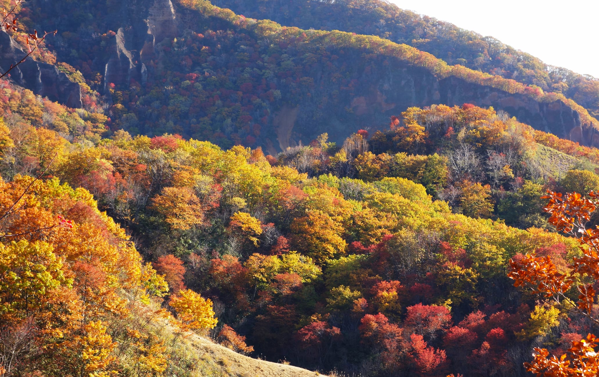 Noboribetsu Primeval Forest