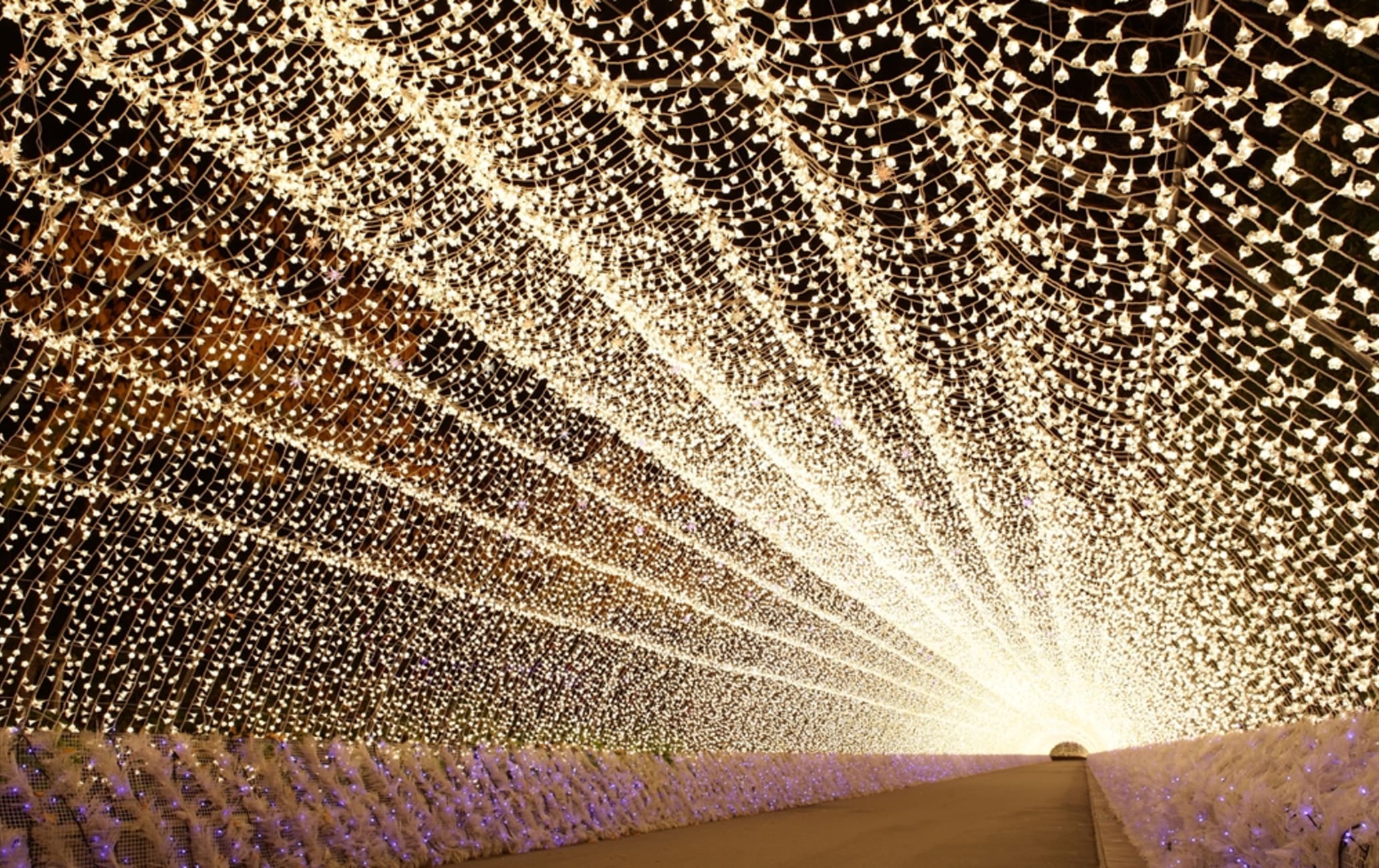 Nabana no Sato Winter Illumination