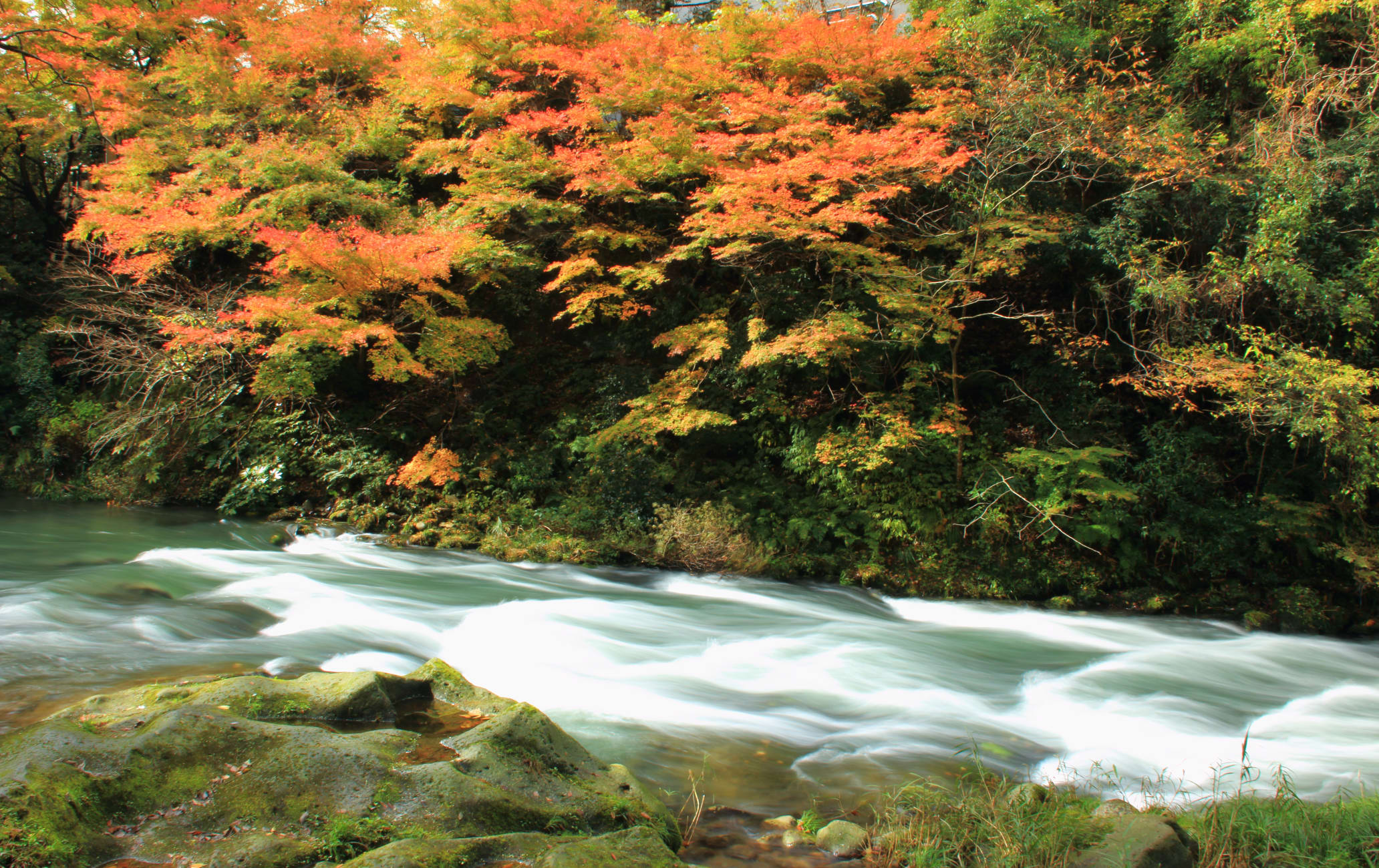 Kaga Onsen 