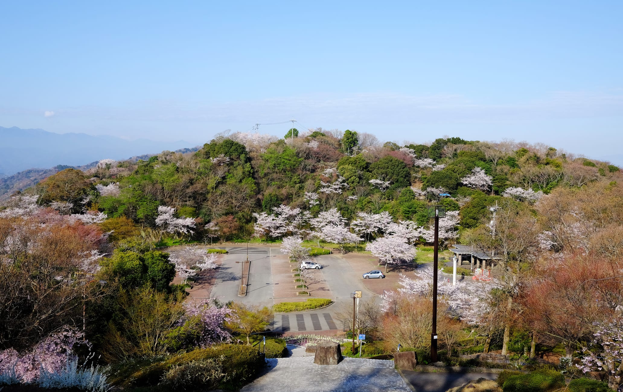 Bizan Park Cherry Blossoms                              眉山公園の桜