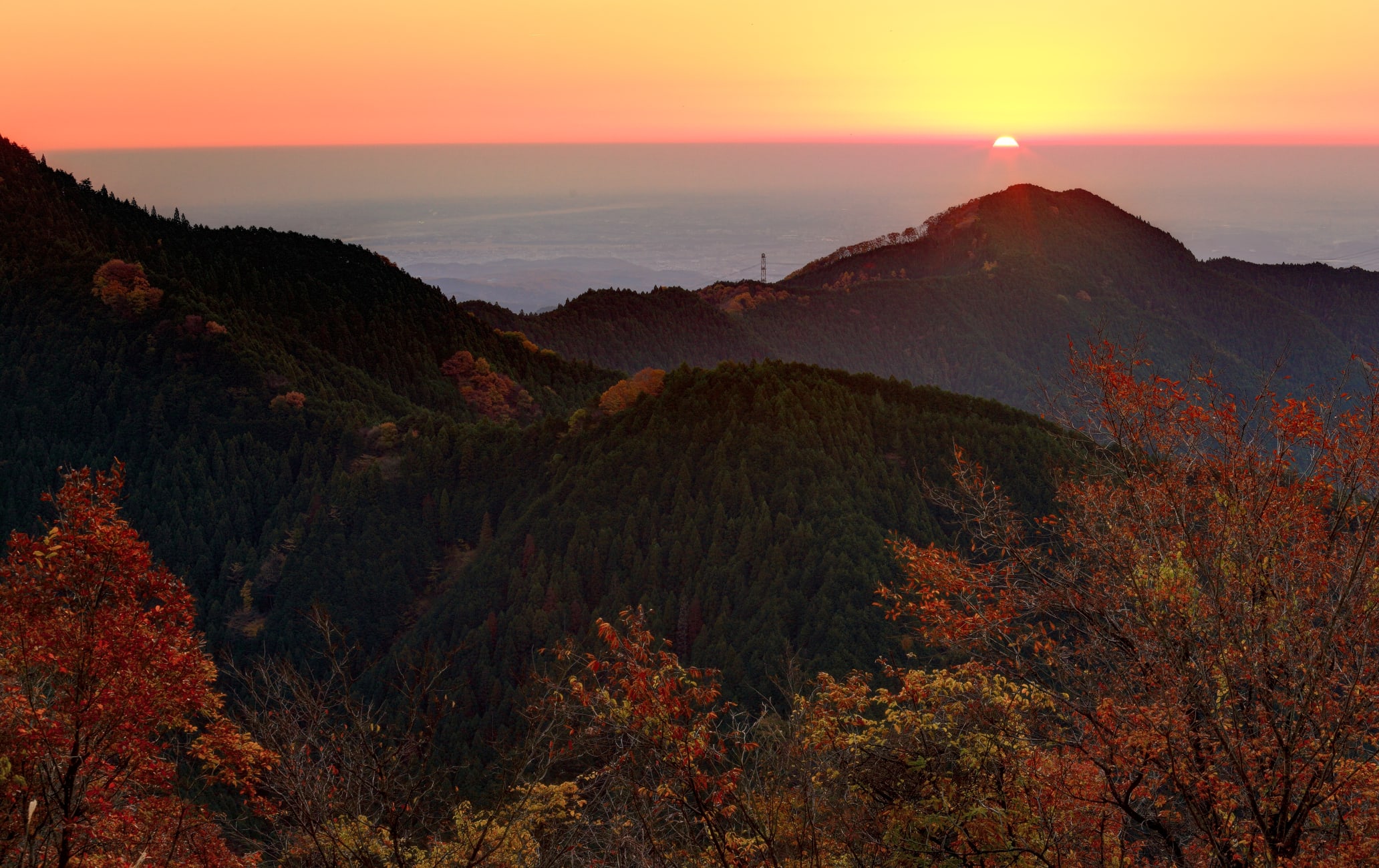 Mt. Mitake                              御岳山