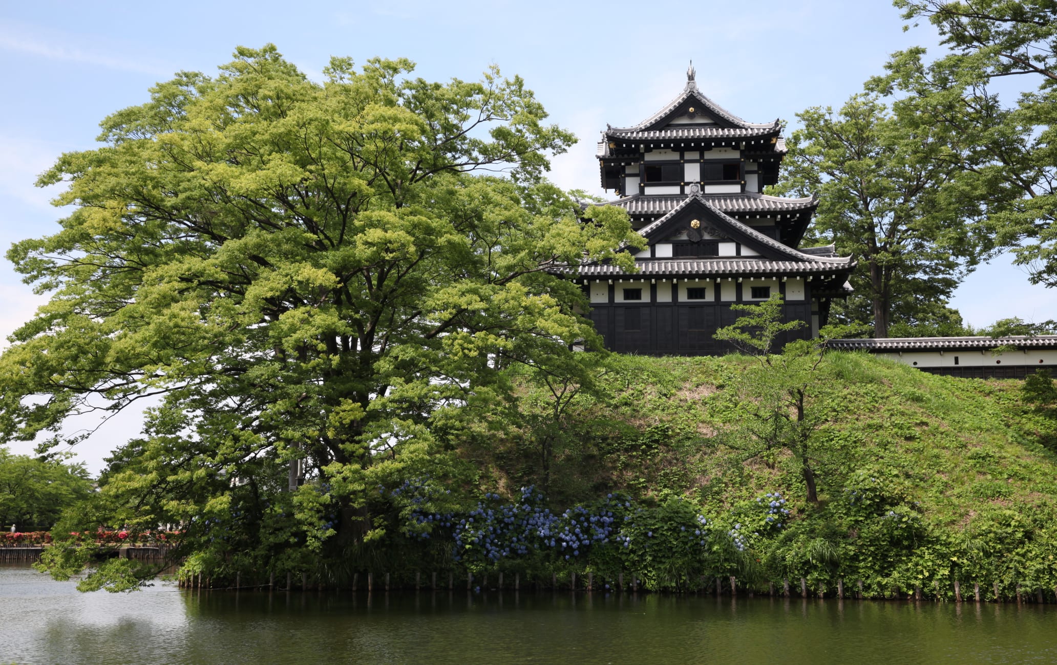 Takada Castle 