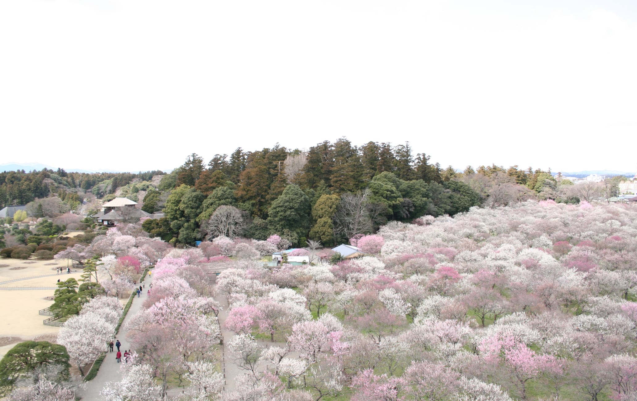 Kairakuen Garden H_00517_001