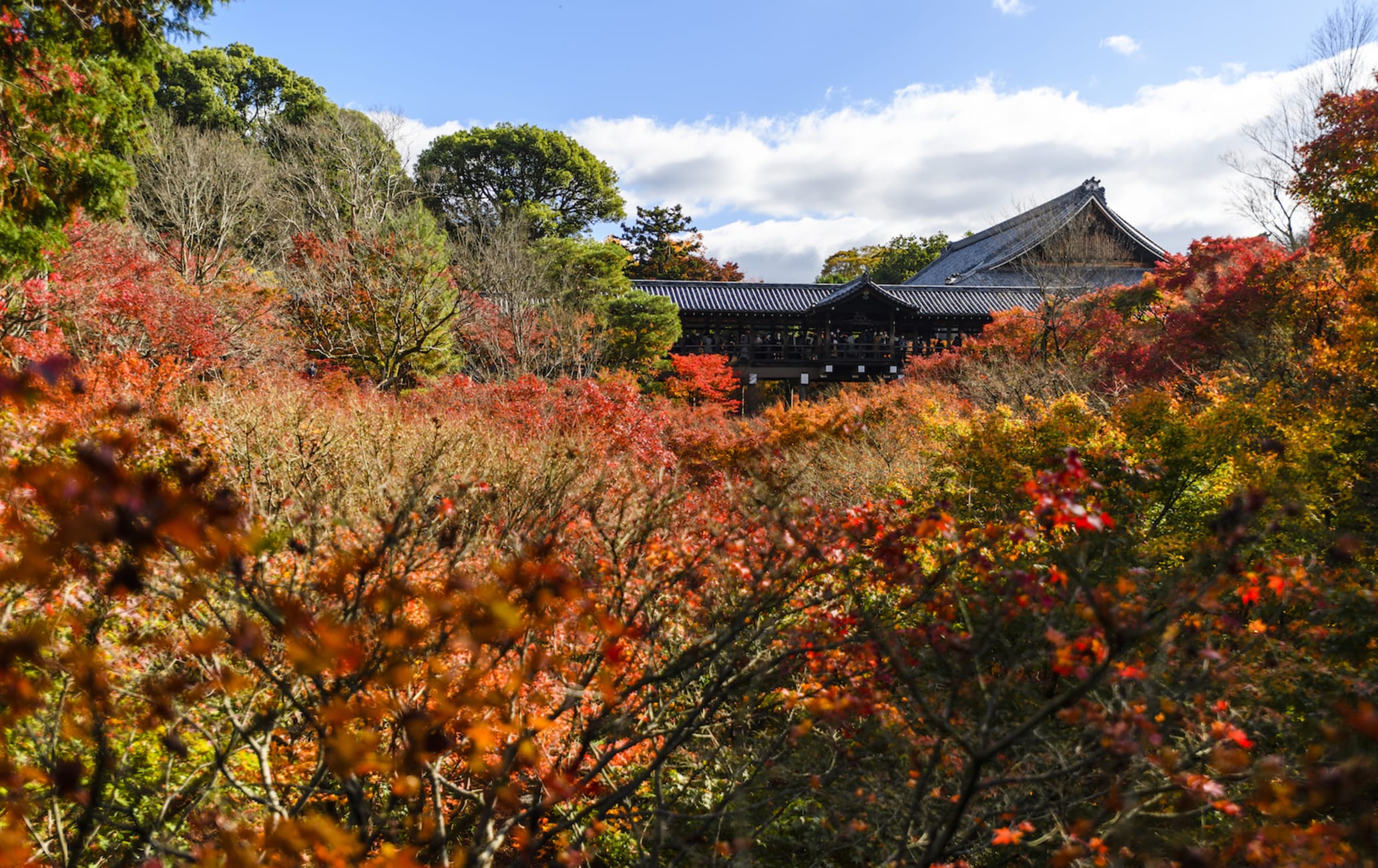 Tofukuji Temple