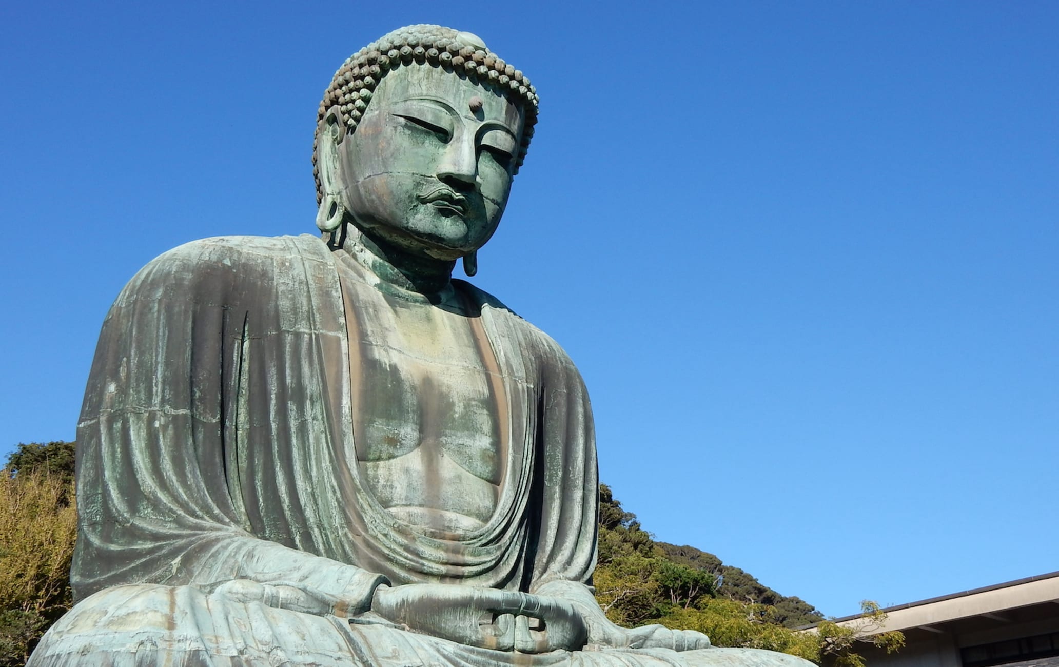 Official buddha to buddha top