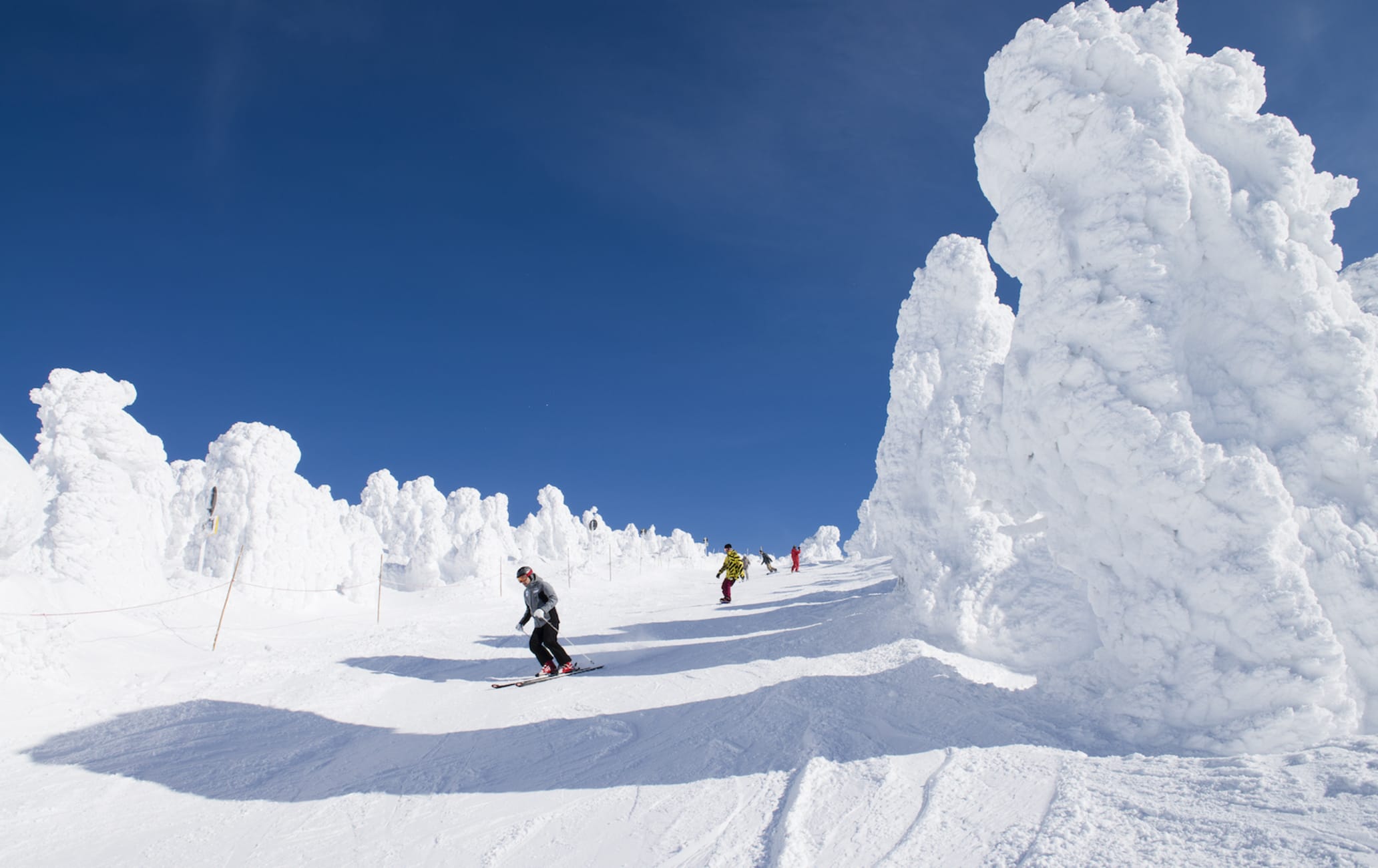 Mt. Zao Skiing