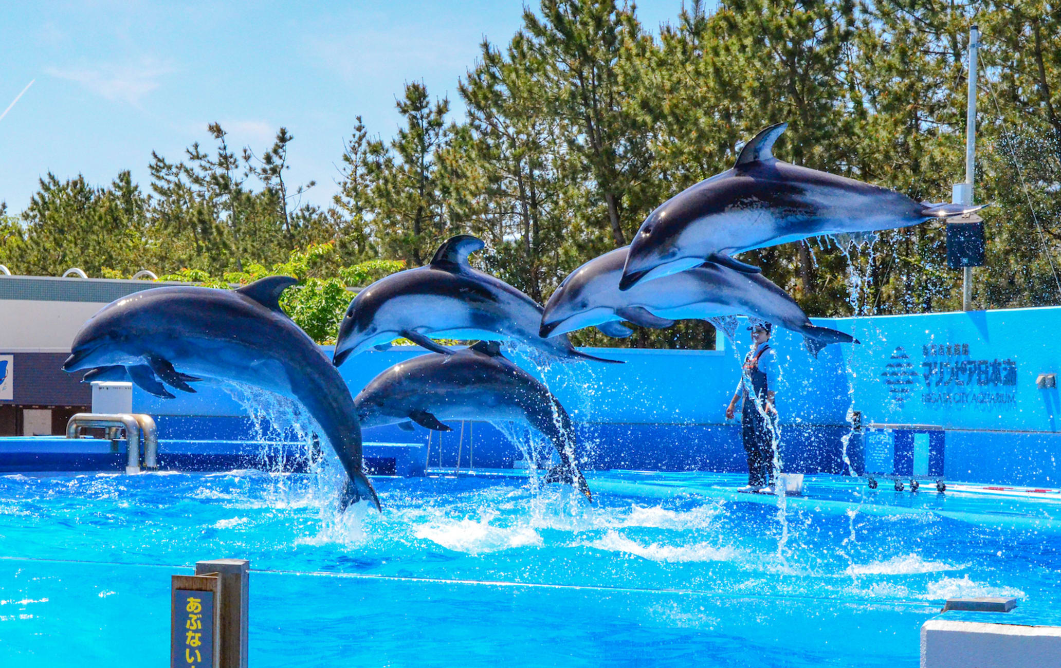 Niigata City Aquarium