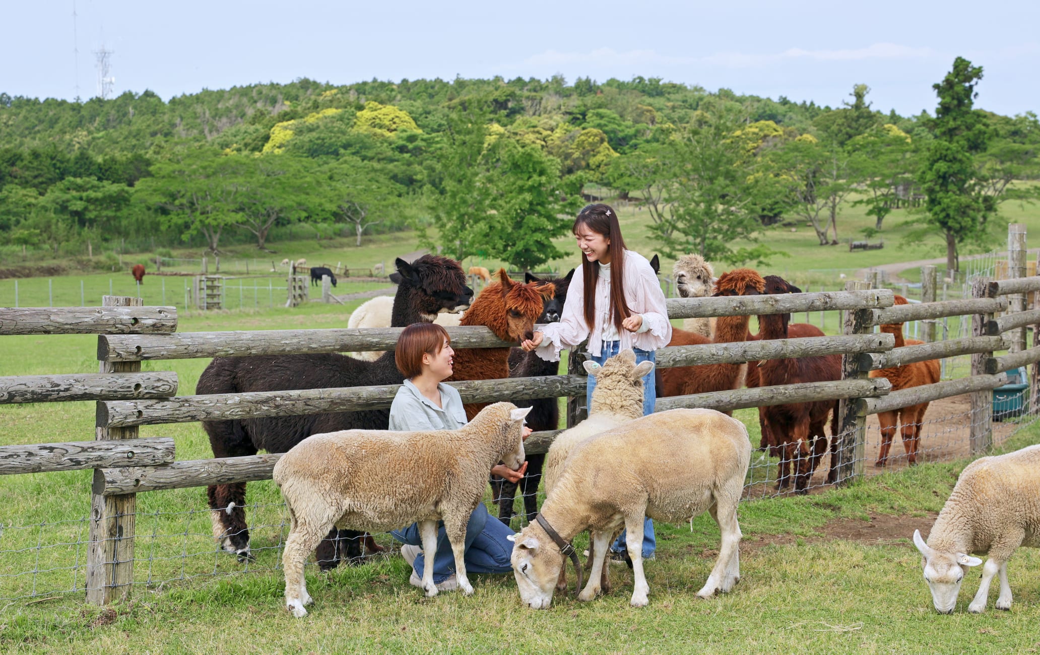 Mother_Farm_Tour_DX1_20250616_gzpqci