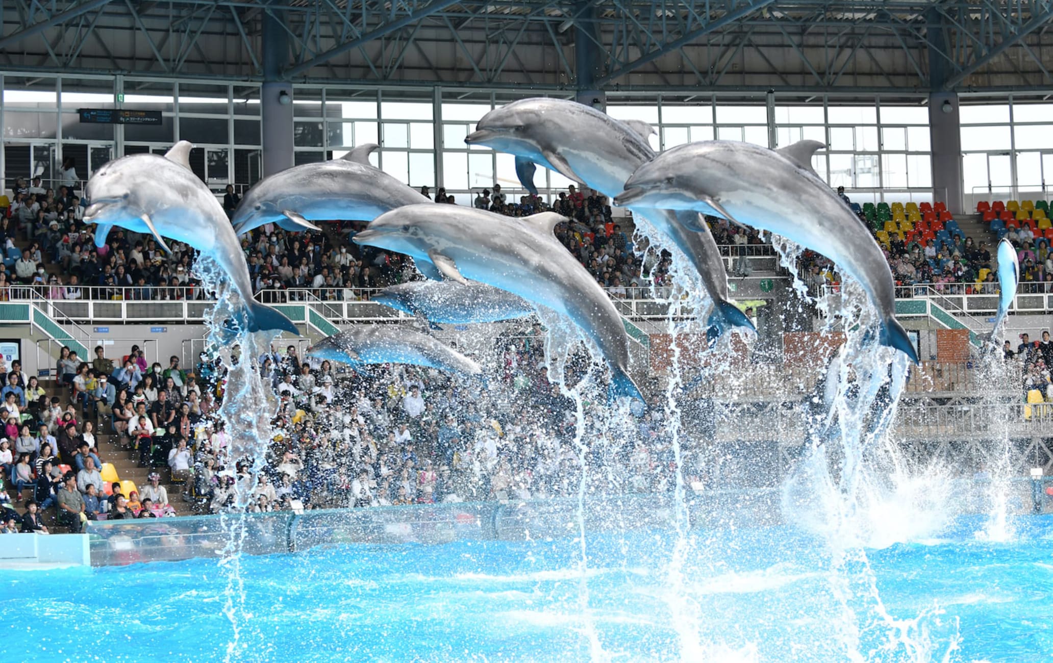 Wakayama Adventure World