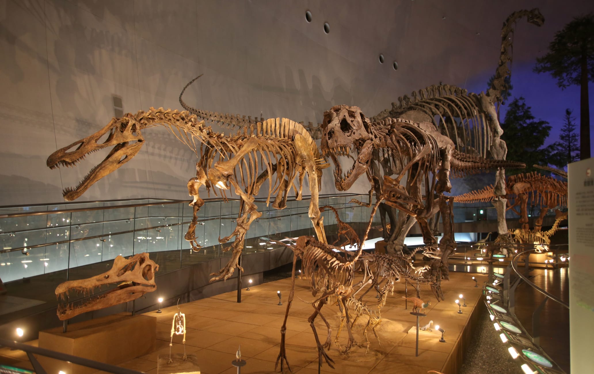 Fukui Prefectural Dinosaur Museum_mv