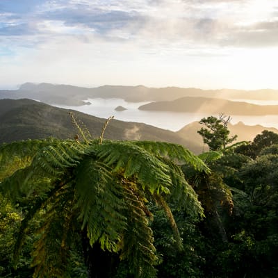 Amami Oshima and Tokunoshima islands