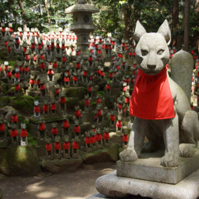 Toyokawa Inari (templo Myogonji)