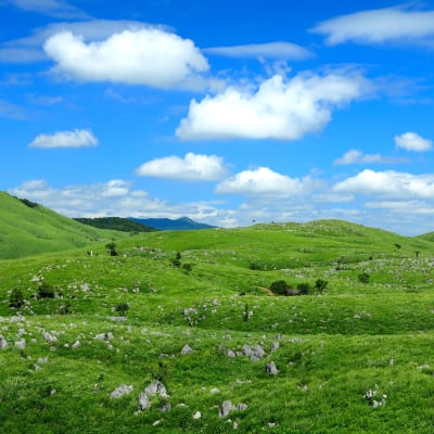 Plateau karstique d'Akiyoshidai
