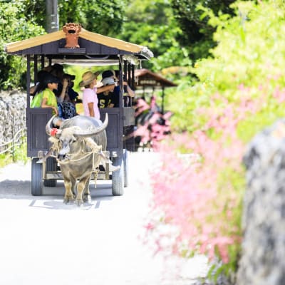 Taketomi Island (Taketomijima)