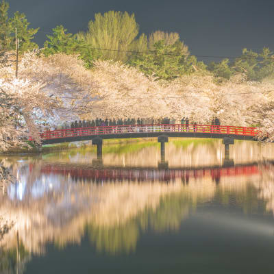 Festival de los Cerezos en Flor de Hirosaki