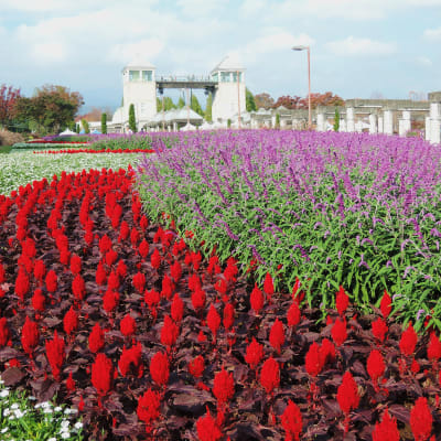 Blumenpark von Gunma