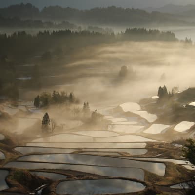 Campos de arroz escalonados de Hoshitoge
