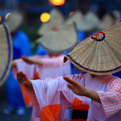 Festival Owara Kaze no Bon