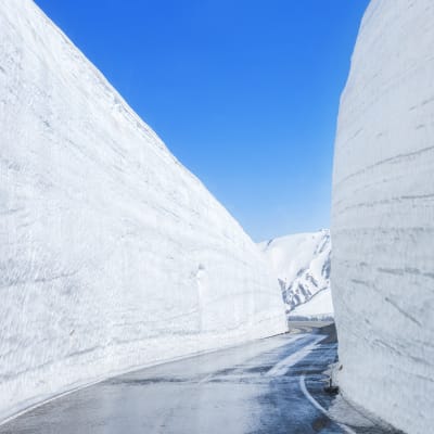 Rota alpina de Tateyama Kurobe (Toyama)
