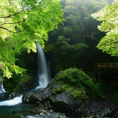 Siete cascadas de Kawazu