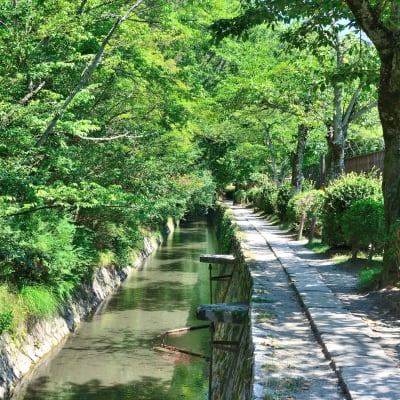 Camino de la Filosofía