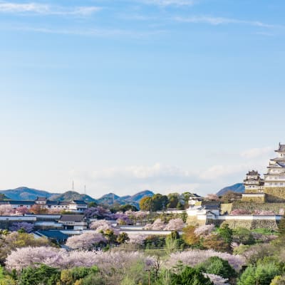 Castillo Himeji (UNESCO)