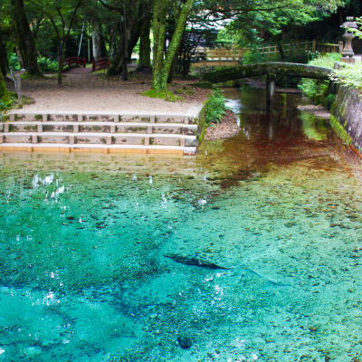 Estanque Benten de Beppu