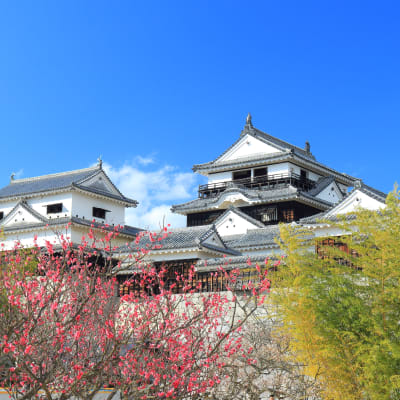 Matsuyama Shiroyama Park