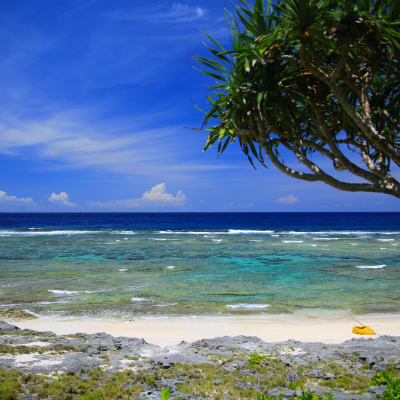 Isla de Okinoerabu (Okinoerabujima)