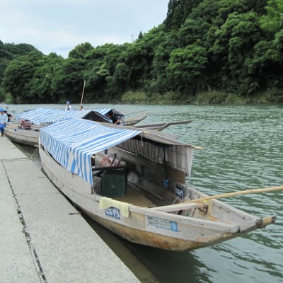Kuma River Boat Cruises