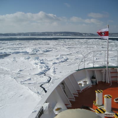Cruceros entre hielo a la deriva de Abashiri