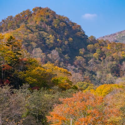 Shiretoko Rausu Visitor Center