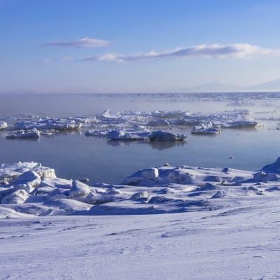 Hielo a la deriva de Ryuhyo