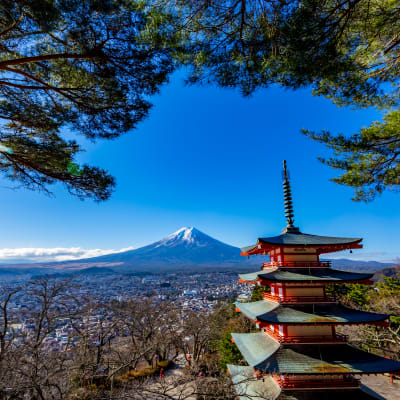 Arakurayama-Sengen-Park