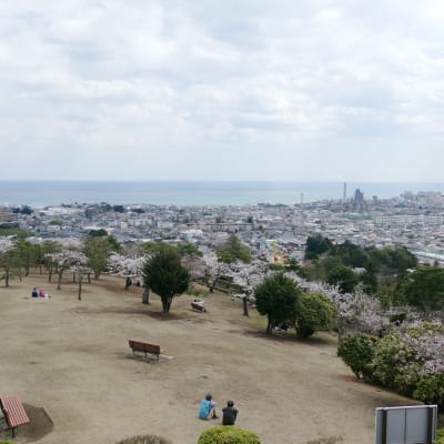 Parque Kamine en Hitachi