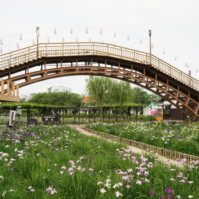 Suigo-Itako-Irisfest