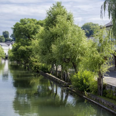Barrio histórico de Kurashiki Bikan