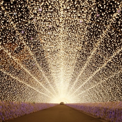 Parc floral de Nabana no Sato