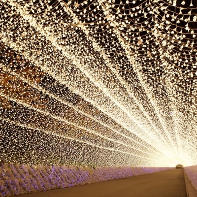 Illuminations d'hiver de Nabana no Sato