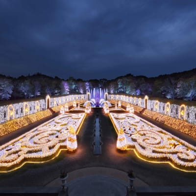 Vương quốc Ánh sáng